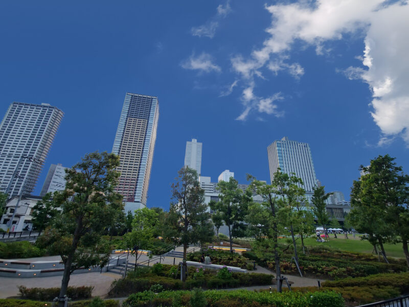 公園と高層ビル