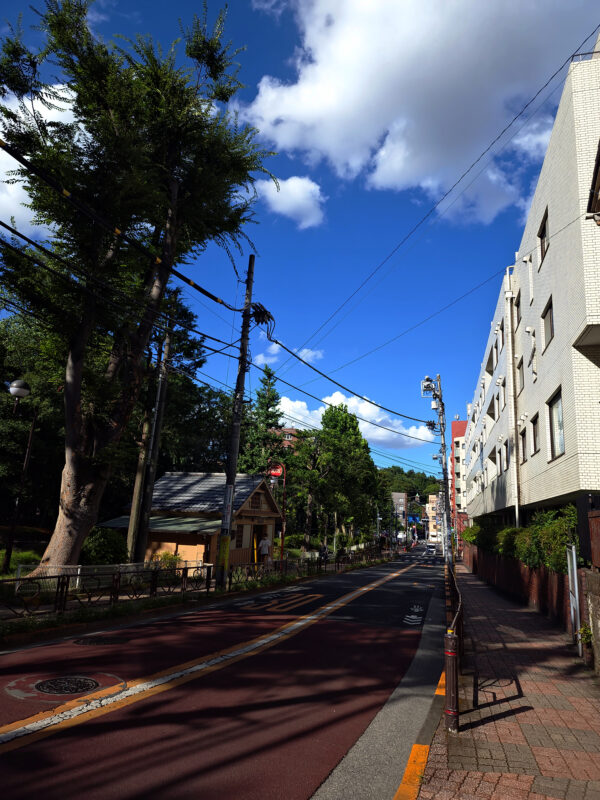 穏やかな午後の散歩